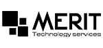 Merit Technology Services