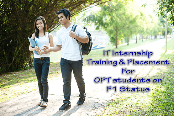 It Internship for OPT students