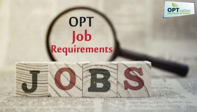 Opt Job Requirements