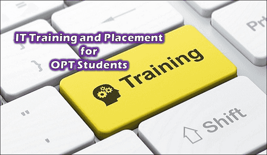 IT Training and Job Placement for OPT Students