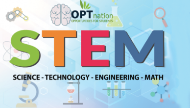 stem opt extension