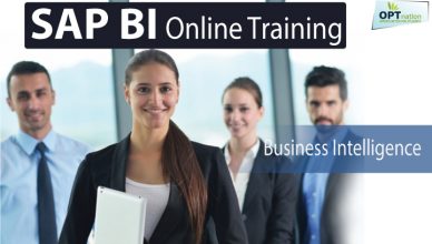 SAP BI Online Training - Business Intelligence