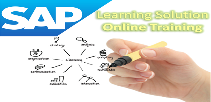SAP LSO Online Training