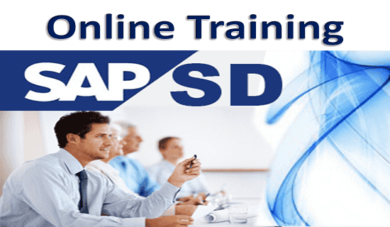 SAP SD Online Training Course For Candidates