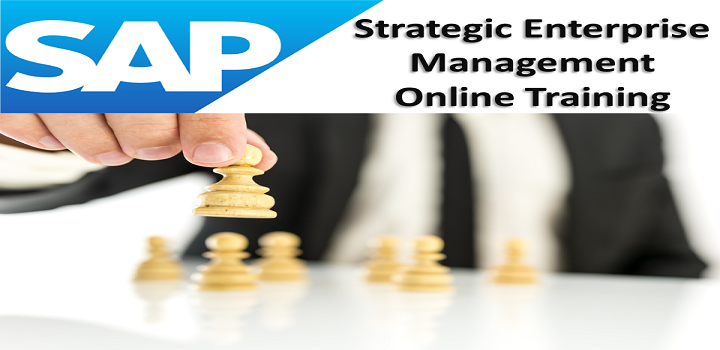 SAP SEM Online Training