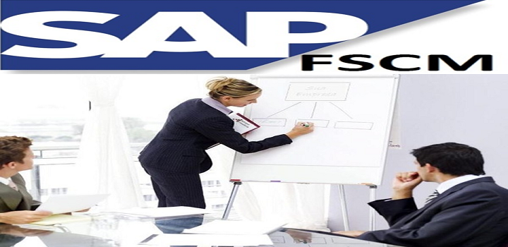 SAP FSCM Onilne Training