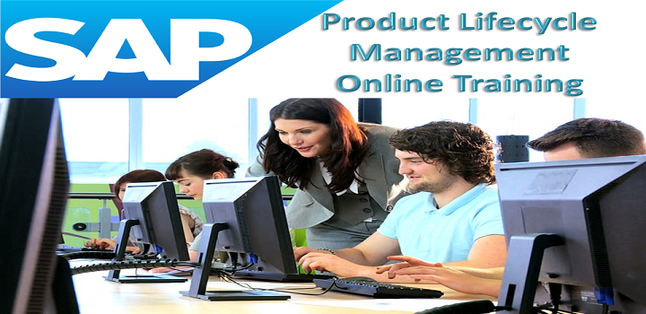 SAP PLM Online Training