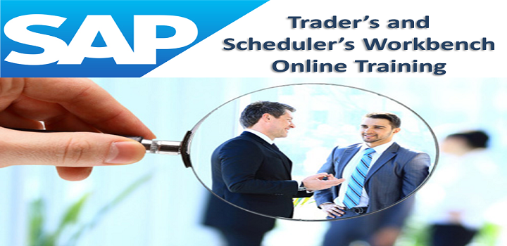 SAP TSW Online Training