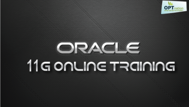 Oracle 11g Online Training