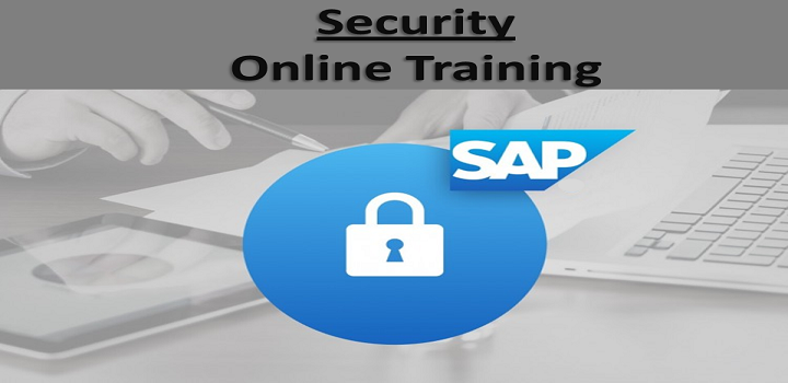SAP Security Online Training