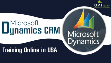 microsoft dynamics CRM training online