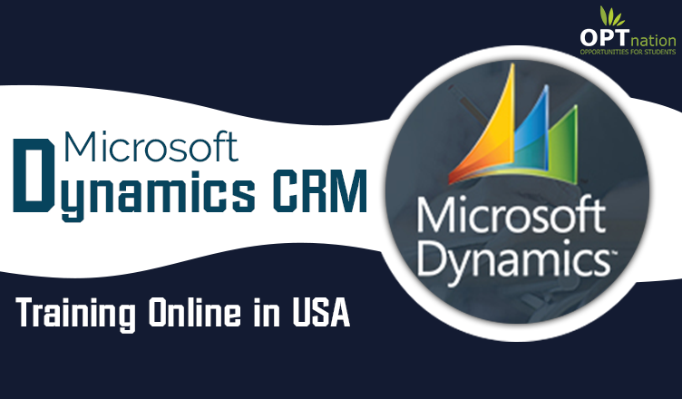 microsoft dynamics crm training cost microsoft dynamics crm training cost