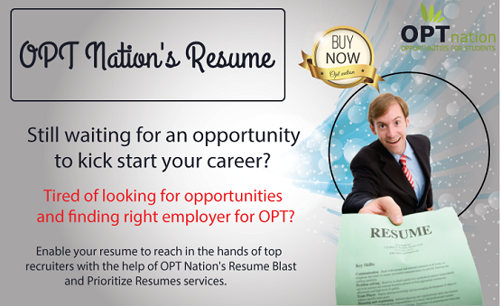 opt resume services for students