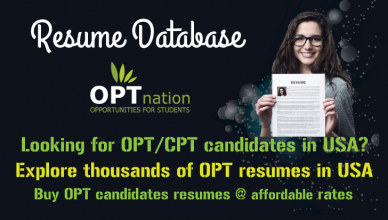 opt resumes and job seekers