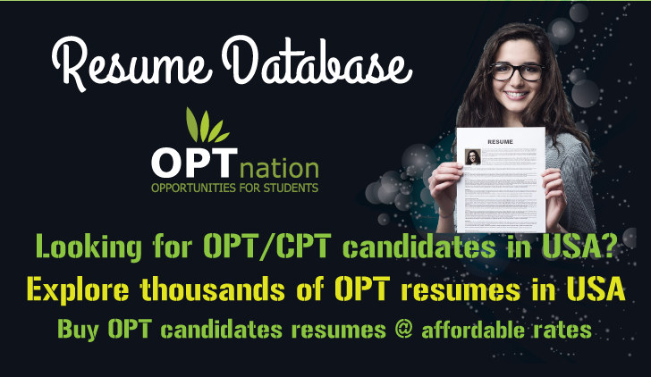 opt resumes and job seekers