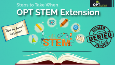 steps after opt stem extension denied