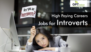 High Paying Careers for Introverts | Jobs for Introverts That Pay Well