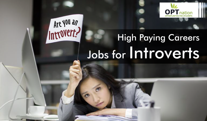 High Paying Careers for Introverts | Jobs for Introverts That Pay Well
