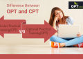 difference between opt and cpt, cpt vs opt, Optional Practical Training, Curricular Practical Training