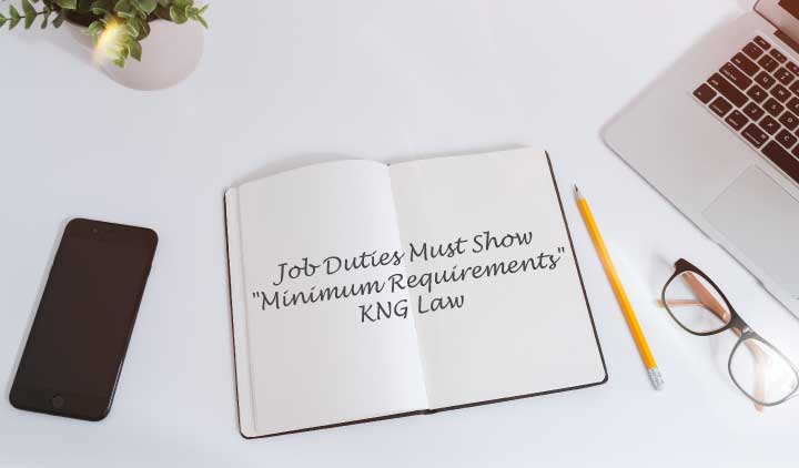 PERM application Job Duties to show correct minimum requirements