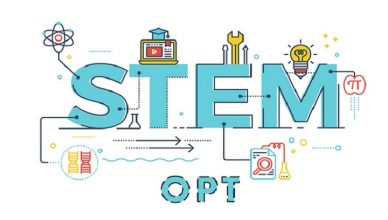 stem opt jobs