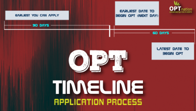 opt timeline, opt application process. opt application timeline. opt application timeline process