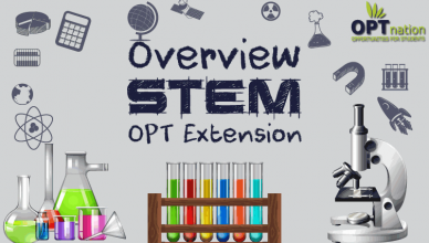 24 Month STEM OPT Extension Processing Time and Requirements