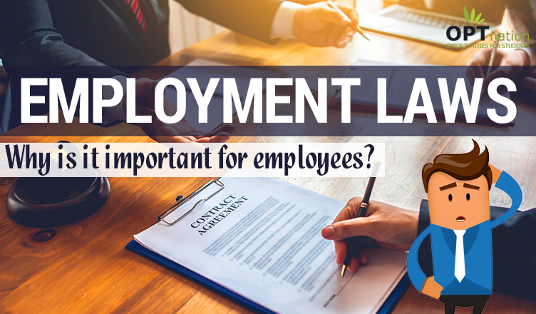Why It's Important To Know About Employment Laws for Employees