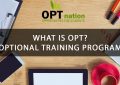 What is OPT