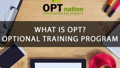 What is OPT