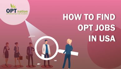 How To Find OPT Jobs In USA