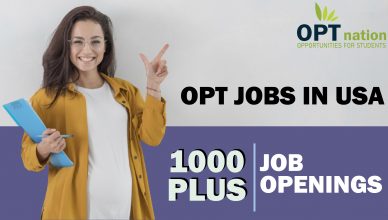 OPT Jobs In USA, 1000+ Job Openings