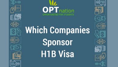 Which Companies Sponsor H1B Visa