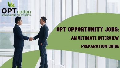 opt jobs