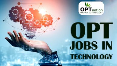 OPT jobs in USA