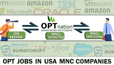 OPT jobs