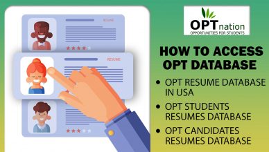 OPT Resumes Database database