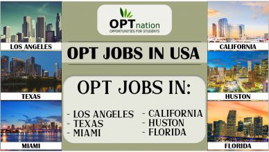 OPT job in USA
