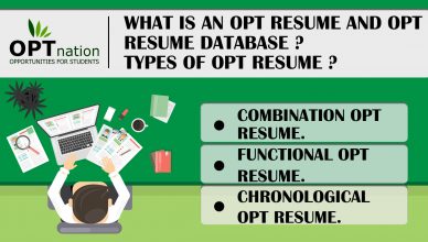 What is an OPT Resume & OPT Resume Database