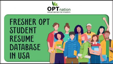 Fresher OPT Student's Resume's Database in USA 2022