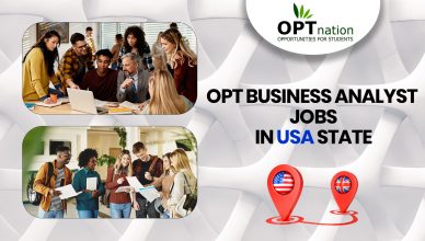 OPT Business Analyst Jobs in USA State