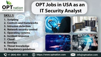 OPT Jobs in USA as an IT Security Analyst