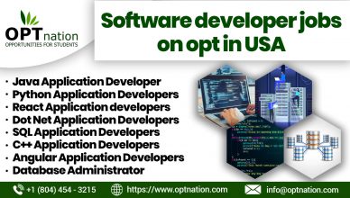 Software Developer Jobs on OPT in USA