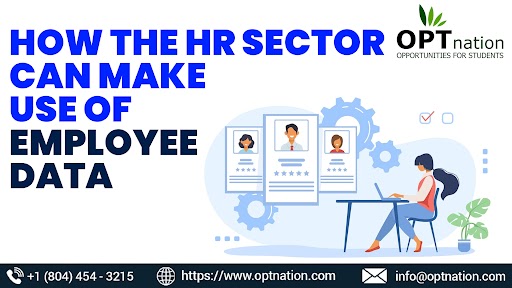 How the HR Sector Can Make Use of Employee Data