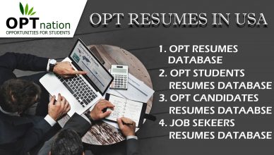 Let's Find OPT Resume's in USA