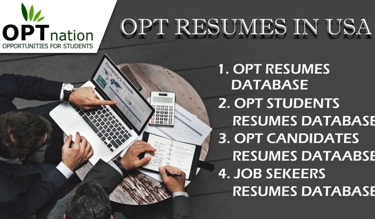 Let's Find OPT Resume's in USA