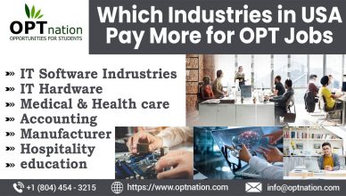 Which Industries in USA Pay More for OPT Jobs