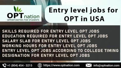 Entry Level Jobs for OPT in USA