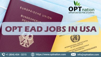 OPT EAD Jobs in USA