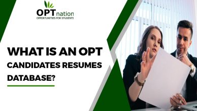 What is an opt candidates resumes database in USA?